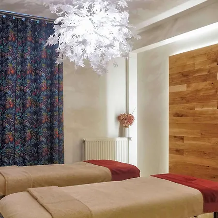 Mercure & Bien-etre Hotel Saint-Nectaire