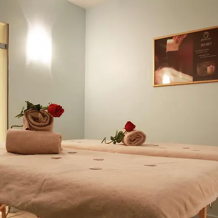 Hotel Mercure & Bien-etre Saint-Nectaire