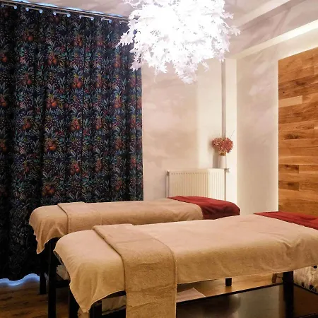 Mercure & Bien-etre 3* Saint-Nectaire