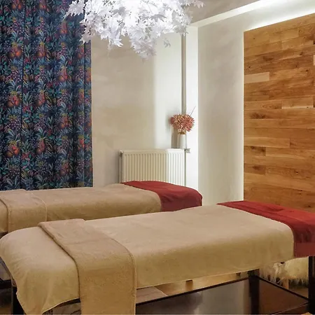 Otel Mercure Nectaire - & Bien-etre 3*
