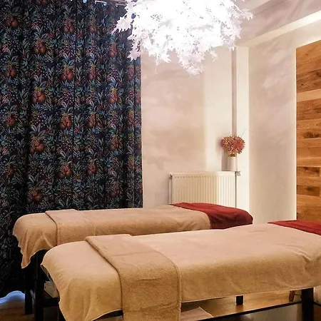 Hotel Mercure Nectaire - & Bien-etre Saint-Nectaire