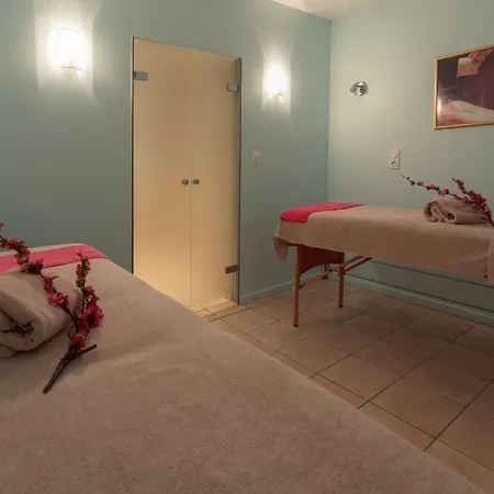 Mercure & Bien-etre Saint-Nectaire