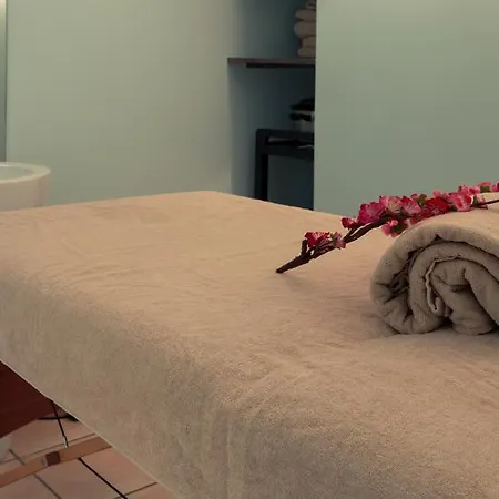 Mercure & Bien-etre 3* 생 넥테르