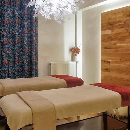 Mercure Nectaire - & Bien-etre Saint-Nectaire