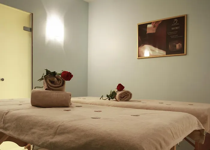 Mercure & Bien-etre 3* Сен-Нектер