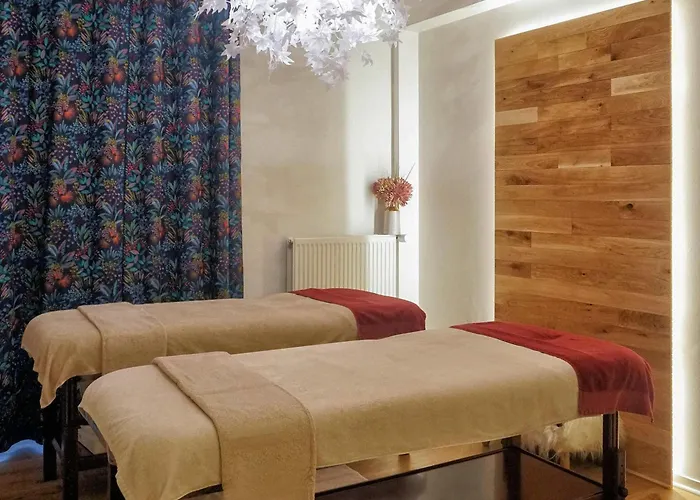 Otel Mercure & Bien-etre 3*