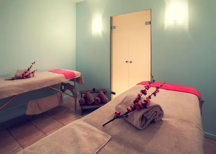 Mercure & Bien-etre 3* Сен-Нектер