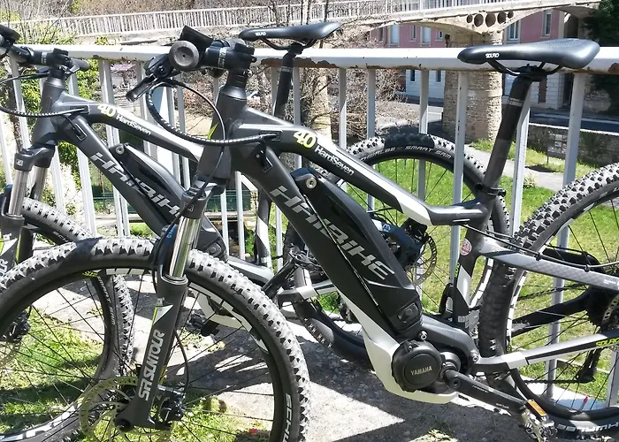 Mercure & Bien-etre 3* Сен-Нектер