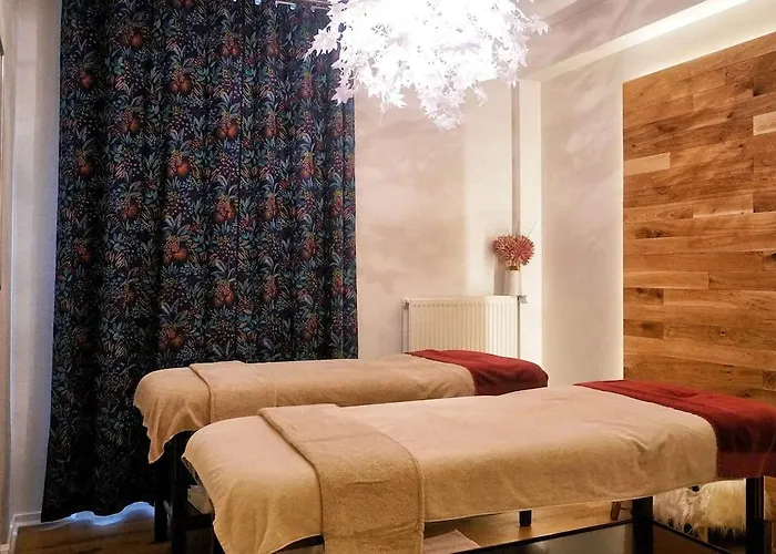 Otel Mercure & Bien-etre Saint-Nectaire