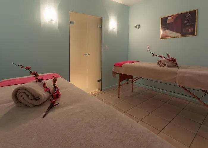 Mercure & Bien-etre Сен-Нектер