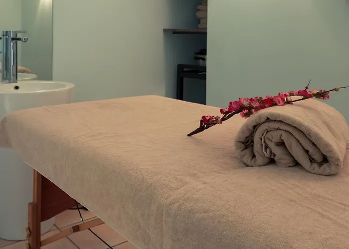 Mercure & Bien-etre 3* Сен-Нектер